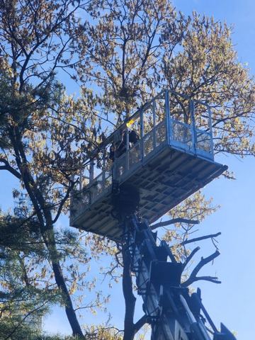 스카이차 작업 현장 사진