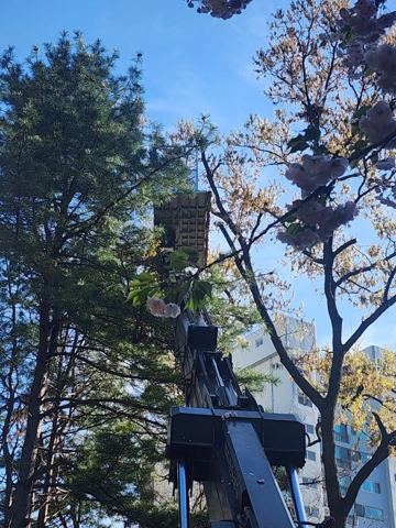 스카이차 작업 현장 사진